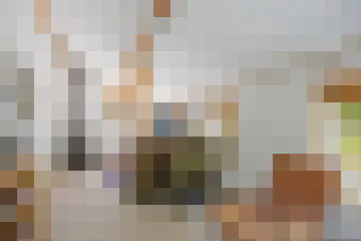 Wommelserweg 59 Tzum thumbnail 18