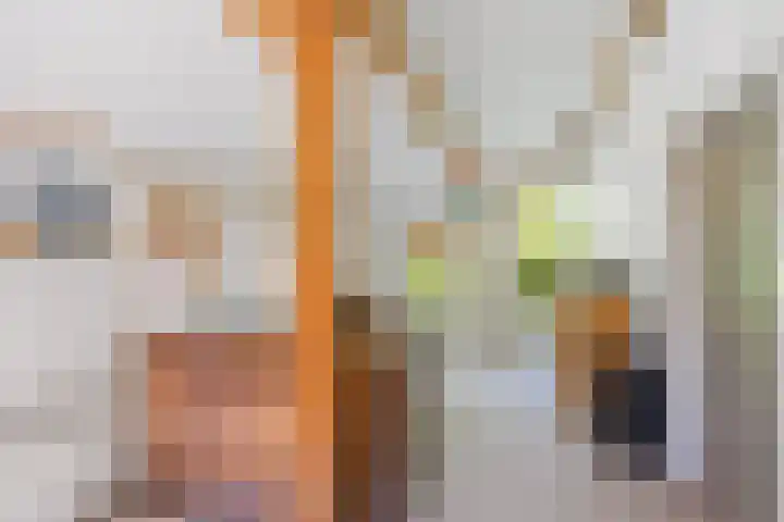 Wommelserweg 59 Tzum thumbnail 19