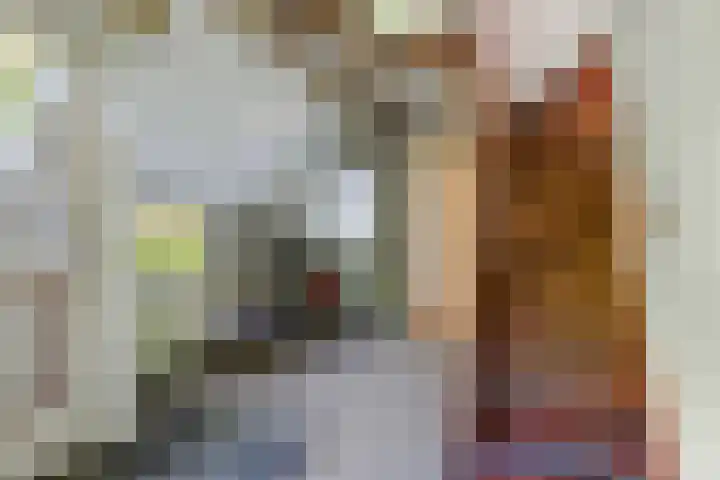 Wommelserweg 59 Tzum thumbnail 20