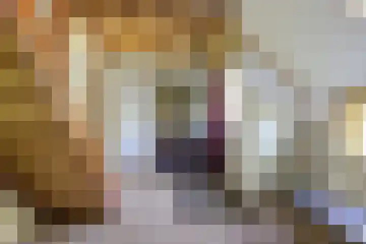 Wommelserweg 59 Tzum thumbnail 21