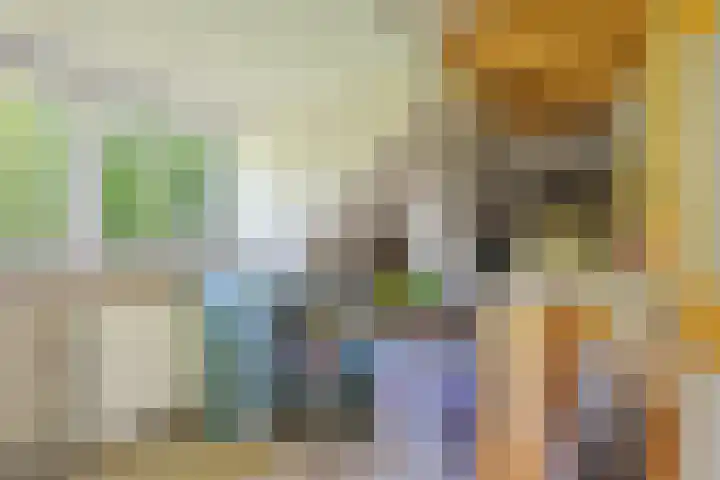 Wommelserweg 59 Tzum thumbnail 27