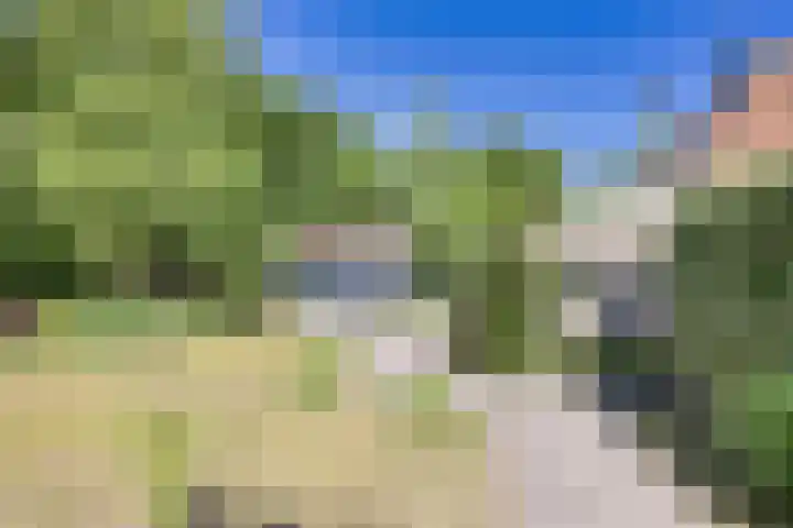 Wommelserweg 59 Tzum thumbnail 30
