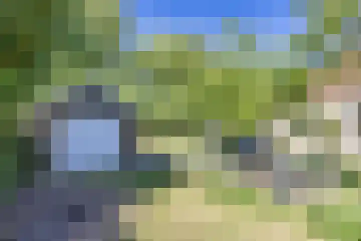 Wommelserweg 59 Tzum thumbnail 32