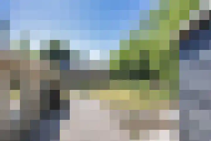 Wommelserweg 59 Tzum thumbnail 34