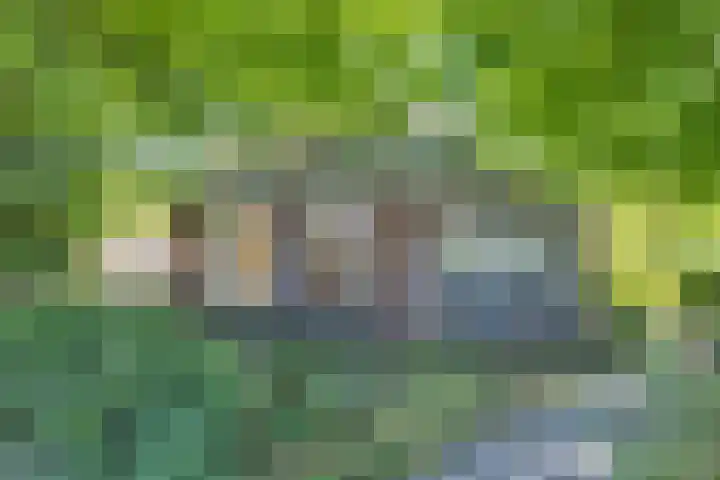 Wommelserweg 59 Tzum thumbnail 35