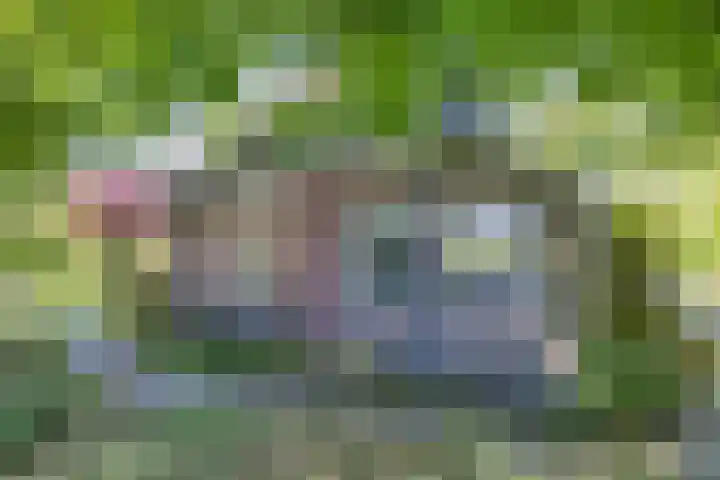 Wommelserweg 59 Tzum thumbnail 37