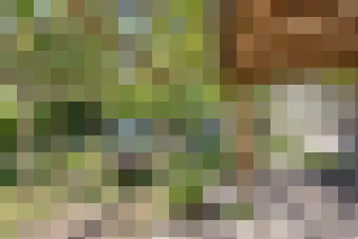 Wommelserweg 59 Tzum thumbnail 38