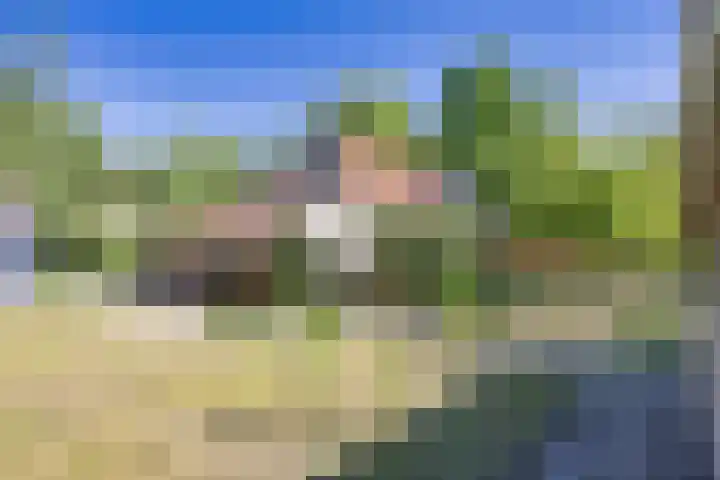 Wommelserweg 59 Tzum thumbnail 4