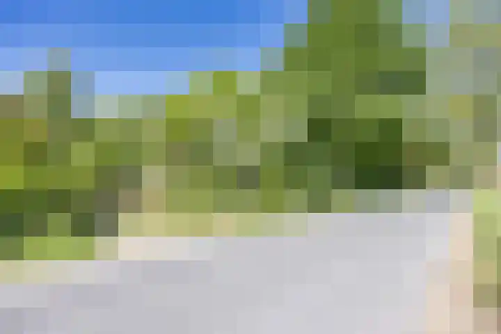 Wommelserweg 59 Tzum thumbnail 41
