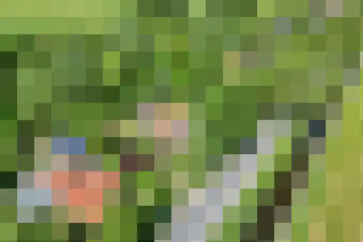 Wommelserweg 59 Tzum thumbnail 43