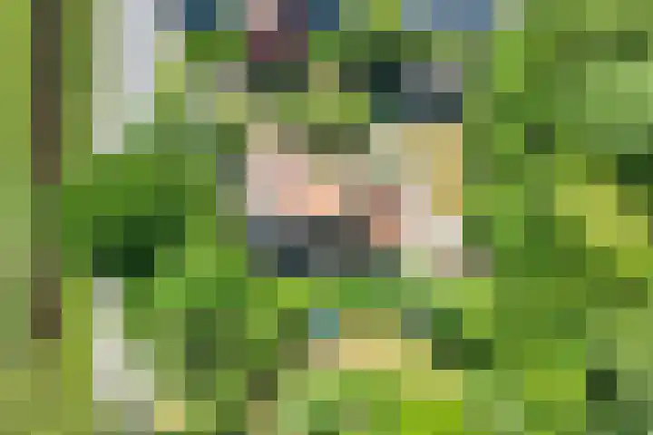 Wommelserweg 59 Tzum thumbnail 45