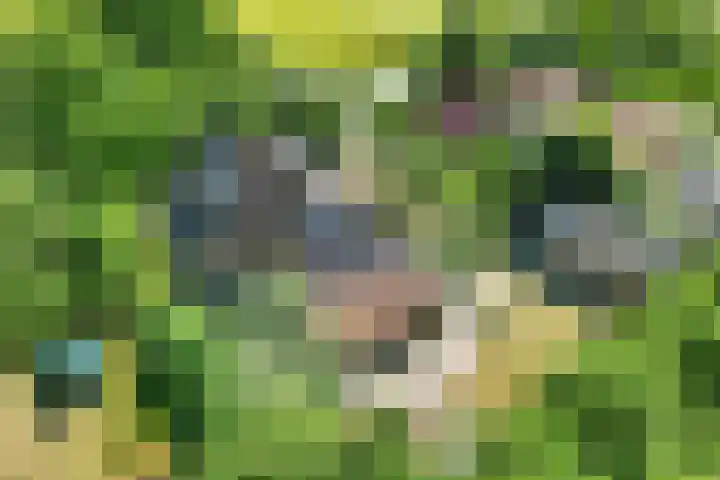 Wommelserweg 59 Tzum thumbnail 47