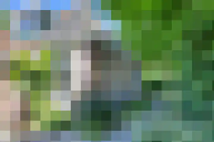 Wommelserweg 59 Tzum thumbnail 5