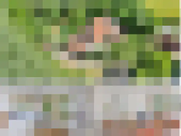 Wommelserweg 59 Tzum thumbnail 53