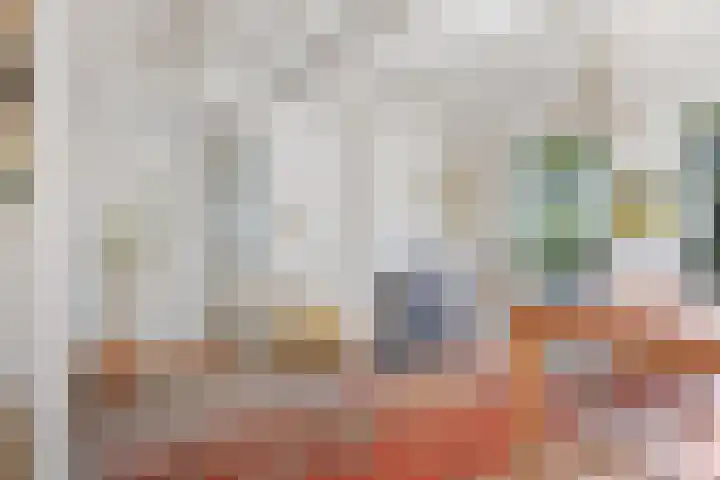 Wommelserweg 59 Tzum thumbnail 7