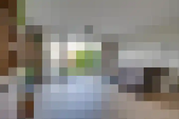 Wonderfontein 48 Purmerend thumbnail 13