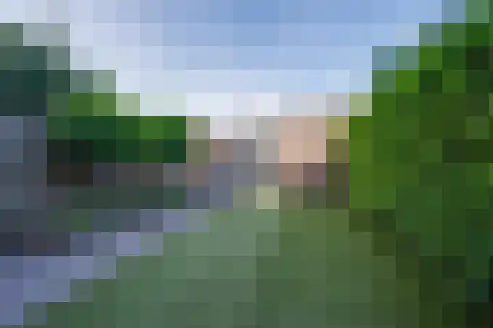 Wonderfontein 48 Purmerend thumbnail 31