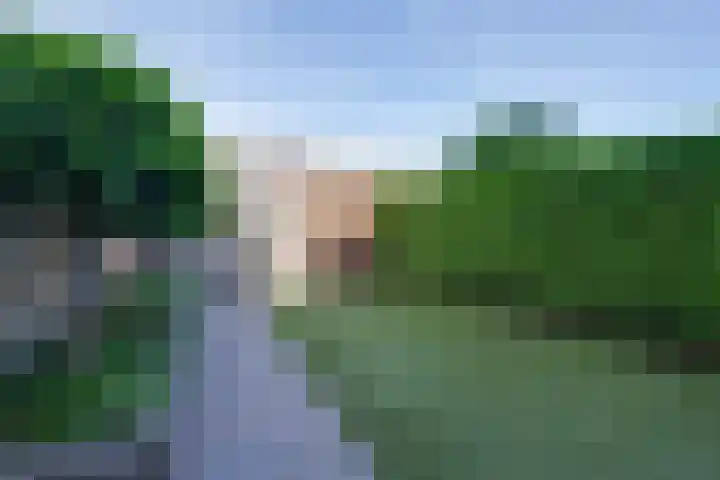 Wonderfontein 48 Purmerend thumbnail 32
