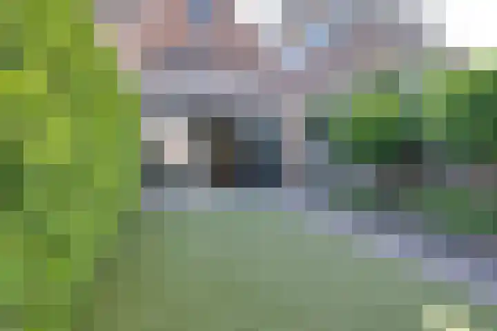 Wonderfontein 48 Purmerend thumbnail 34
