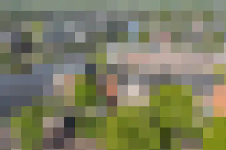 Wonderfontein 48 Purmerend thumbnail 36