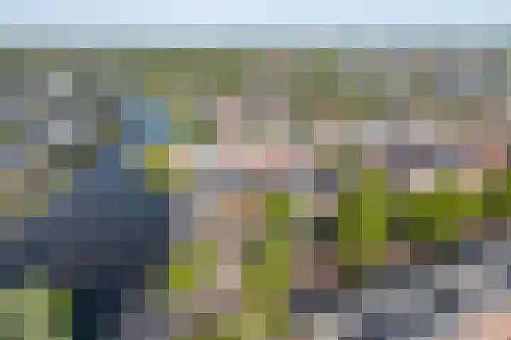 Wonderfontein 48 Purmerend thumbnail 5