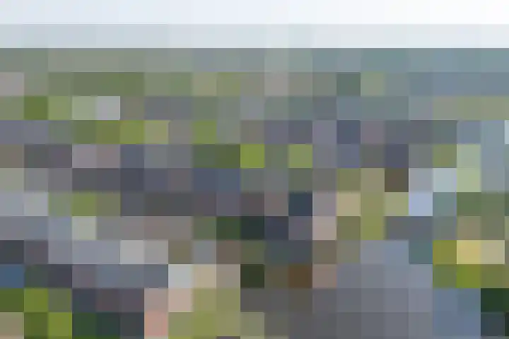 Wonderfontein 48 Purmerend thumbnail 69