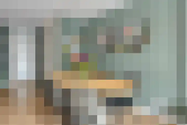 Wonderfontein 53 Purmerend thumbnail 9