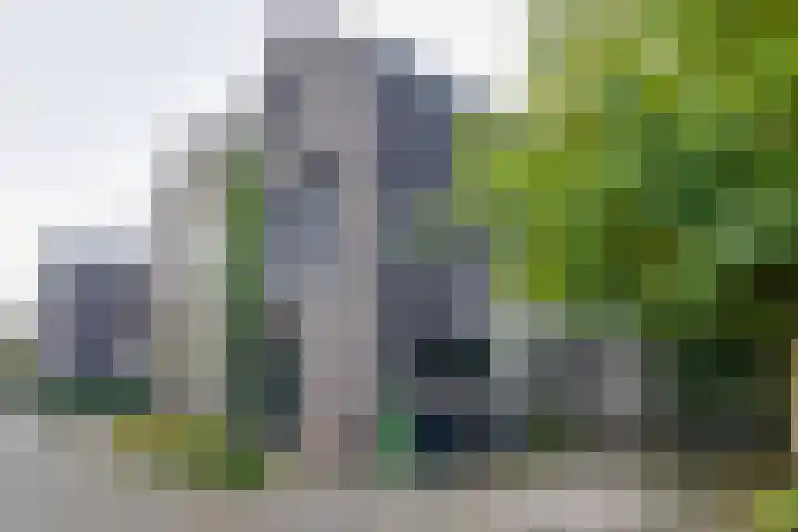 Wonderfontein 64 Purmerend thumbnail 10