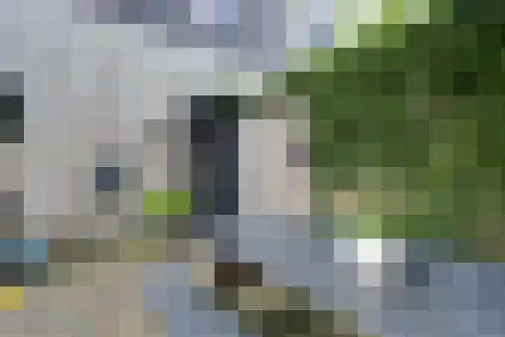 Wonderfontein 64 Purmerend thumbnail 11