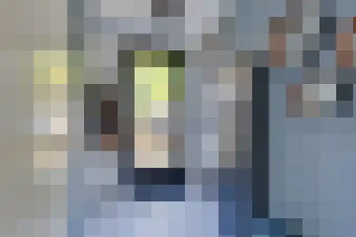 Wonderfontein 64 Purmerend thumbnail 12
