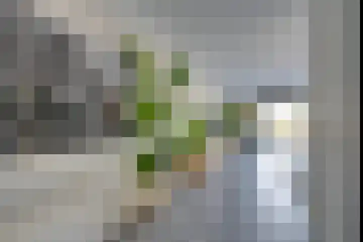 Wonderfontein 64 Purmerend thumbnail 14