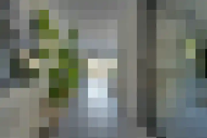 Wonderfontein 64 Purmerend thumbnail 15