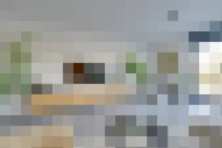 Wonderfontein 64 Purmerend thumbnail 19