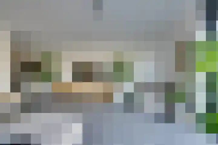 Wonderfontein 64 Purmerend thumbnail 20