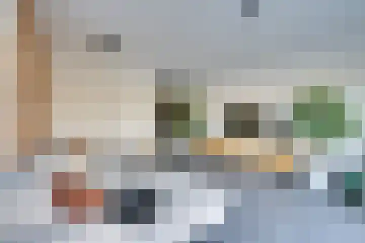 Wonderfontein 64 Purmerend thumbnail 21