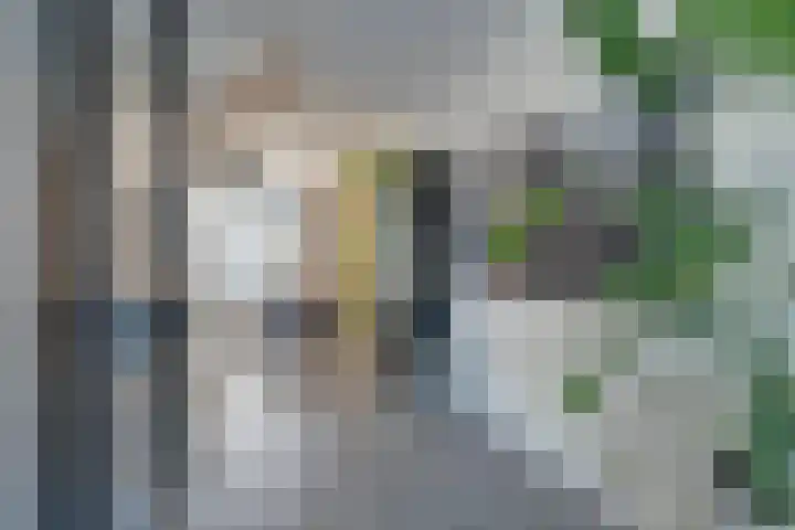 Wonderfontein 64 Purmerend thumbnail 24