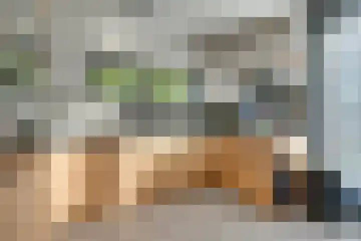 Wonderfontein 64 Purmerend thumbnail 27