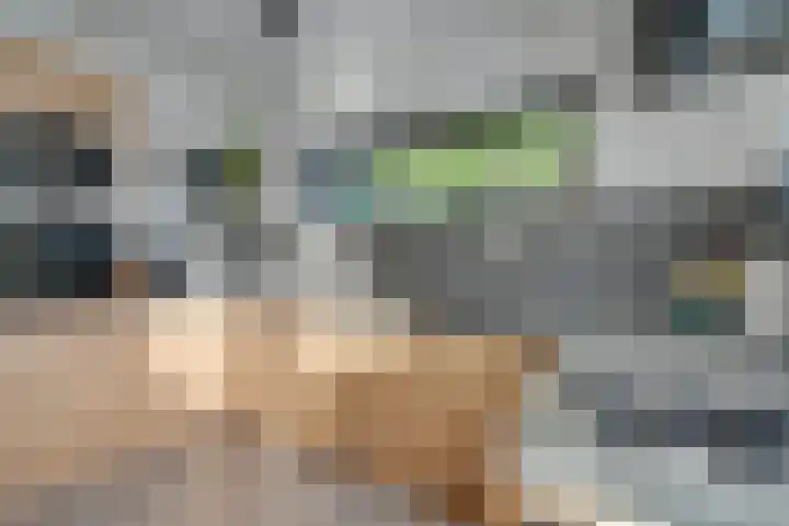 Wonderfontein 64 Purmerend thumbnail 28