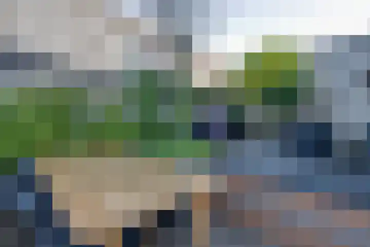 Wonderfontein 64 Purmerend thumbnail 39