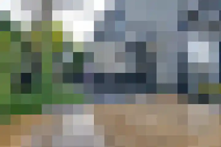 Wonderfontein 64 Purmerend thumbnail 40