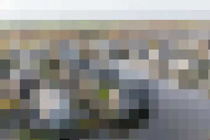 Wonderfontein 64 Purmerend thumbnail 5