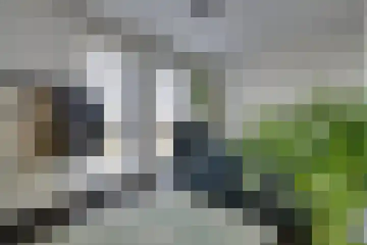 Wonderfontein 64 Purmerend thumbnail 50