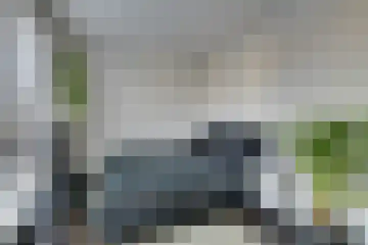 Wonderfontein 64 Purmerend thumbnail 51