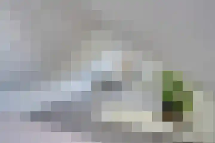 Wonderfontein 64 Purmerend thumbnail 59