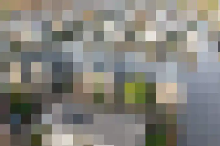 Wonderfontein 64 Purmerend thumbnail 8