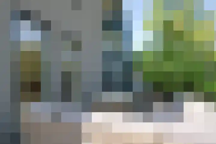 Wonderfontein 74 Purmerend thumbnail 11