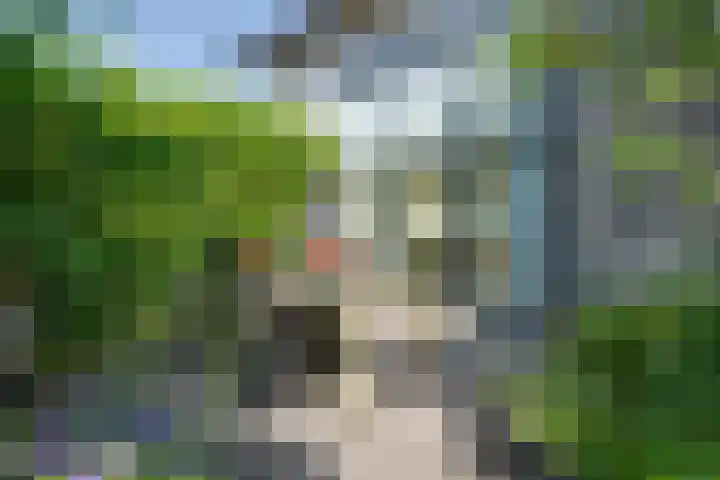 Wonderfontein 74 Purmerend thumbnail 12