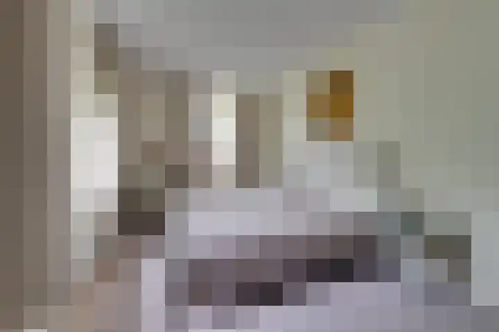 Wonderfontein 74 Purmerend thumbnail 24