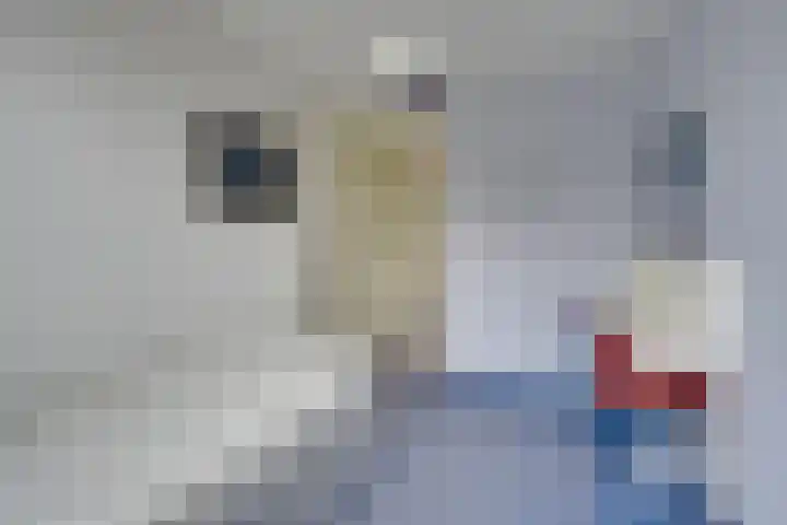 Wonderfontein 74 Purmerend thumbnail 30