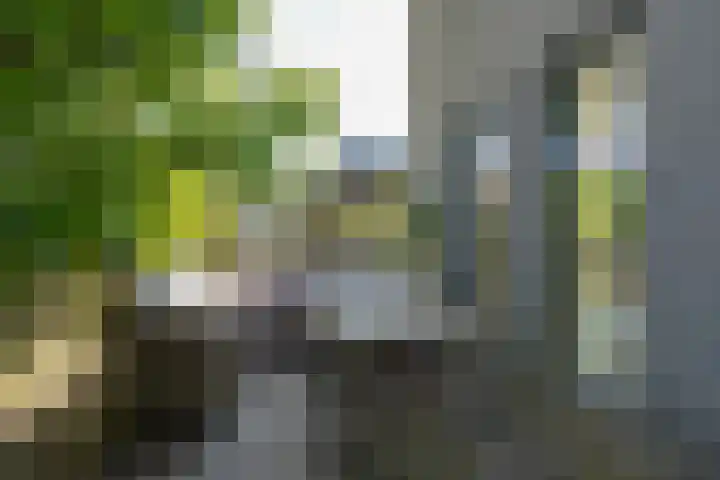 Wonderfontein 74 Purmerend thumbnail 36